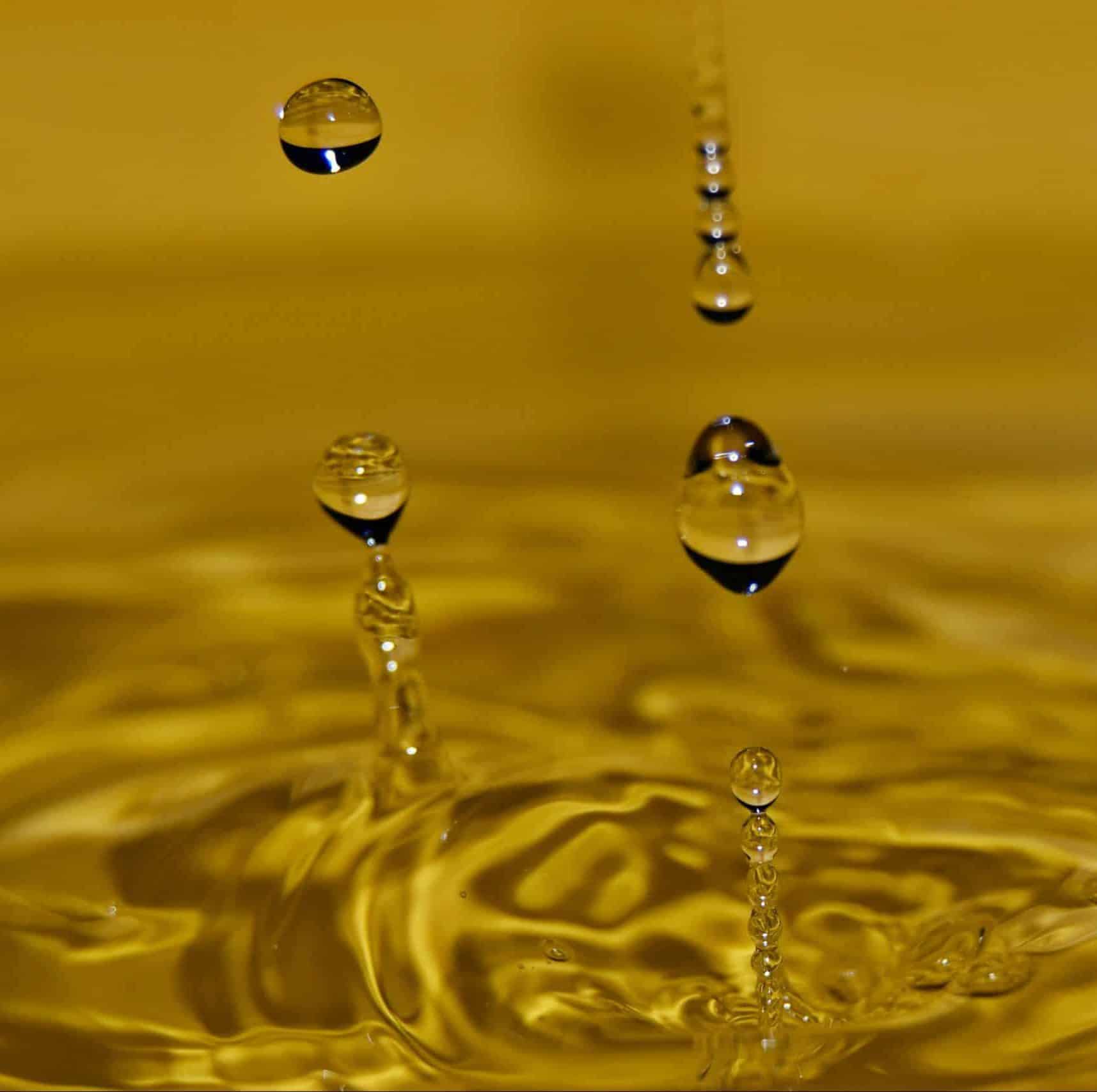 Glaube Wissenschaft nature  e