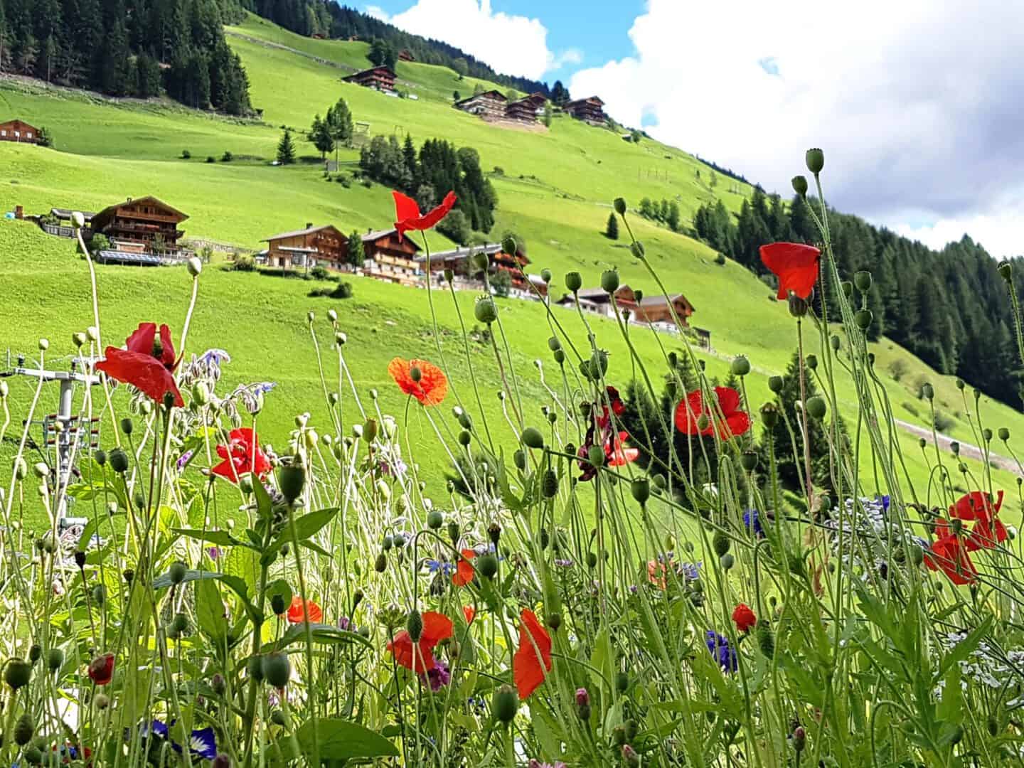 Lebenshilfe
