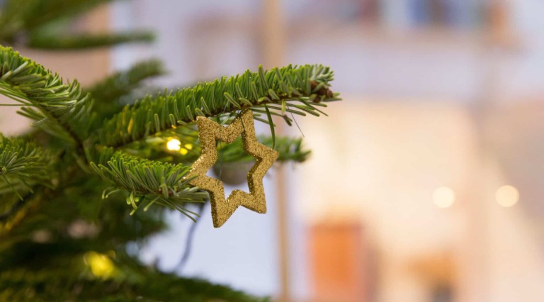 Weihnachten feiern mit radio maria