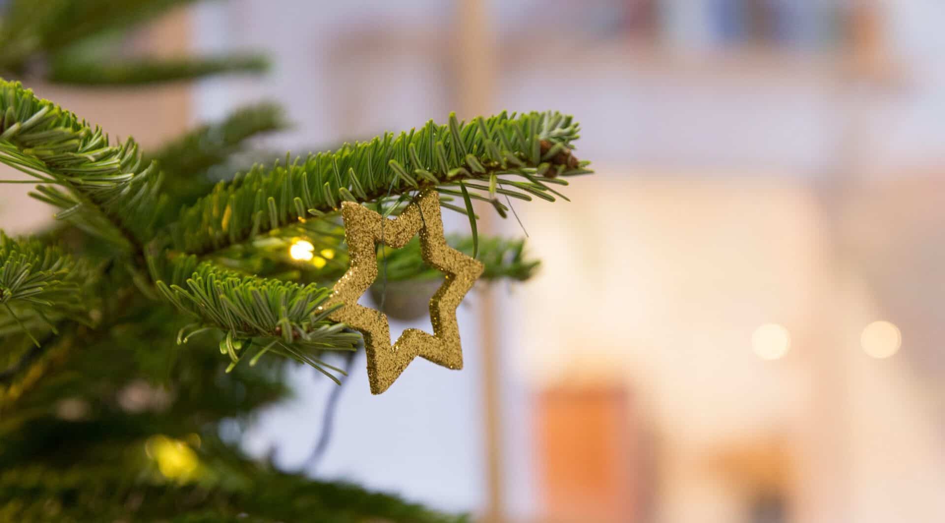 Weihnachten feiern mit radio maria