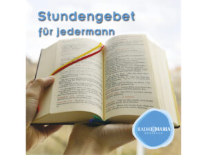 Geschenkideen für Weihnachten