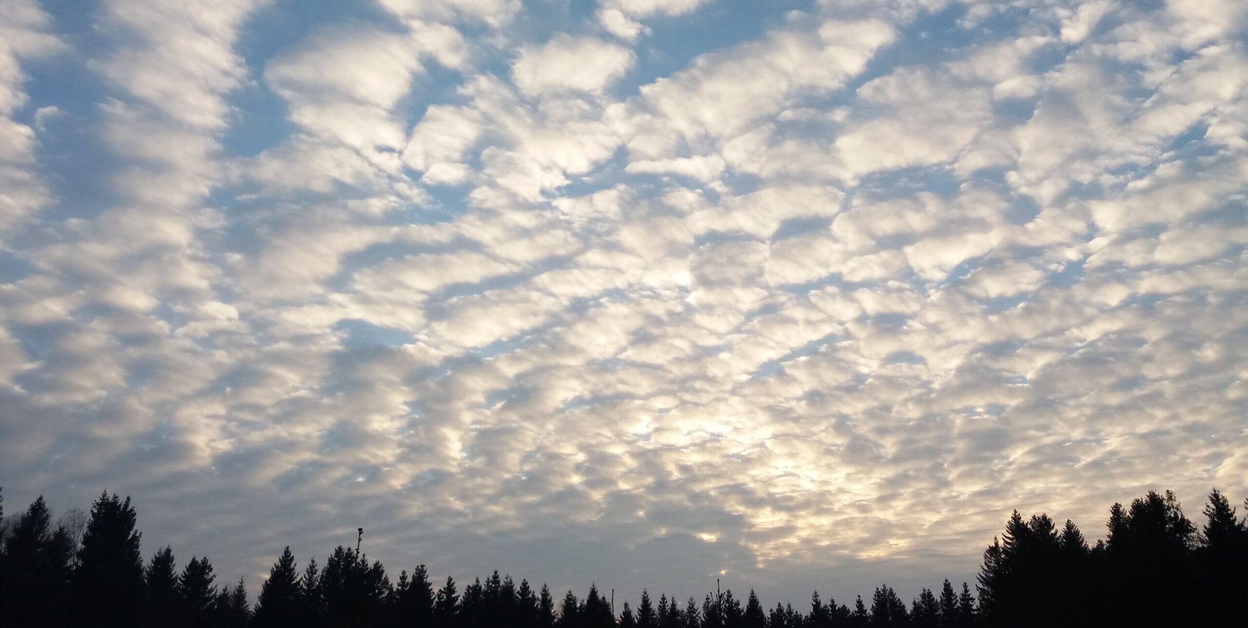 20180303_171814_BR 20180303_171814_BR