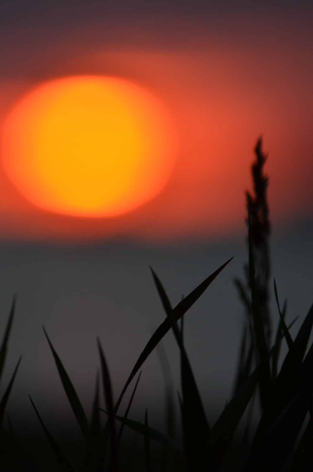 Sonnenuntergang  Johanna Polakovics