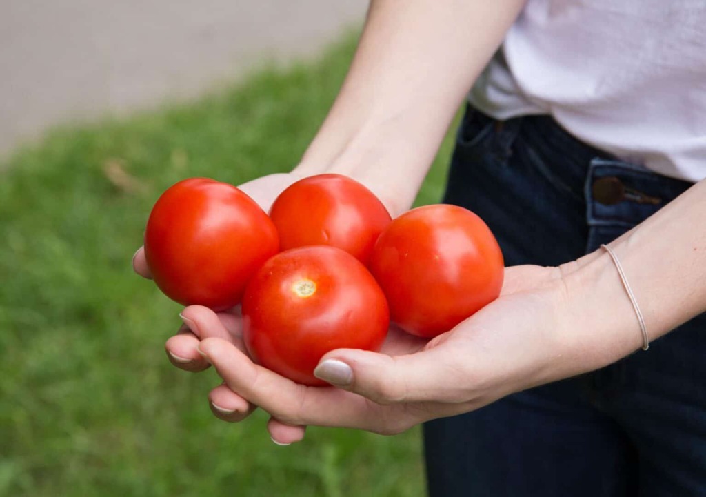 Sommer-rezepte aus der studioküche