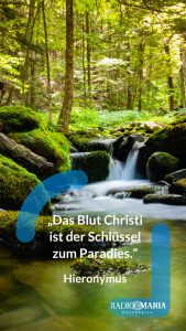 Smartphone Hintergrund - Juli 26